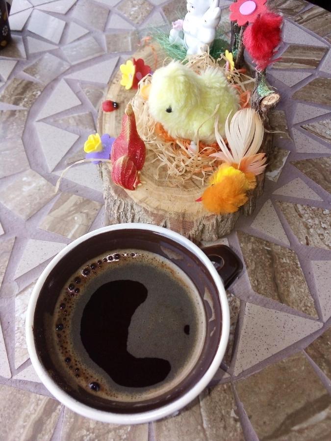 Guest House Stevovski Elshani Екстериор снимка