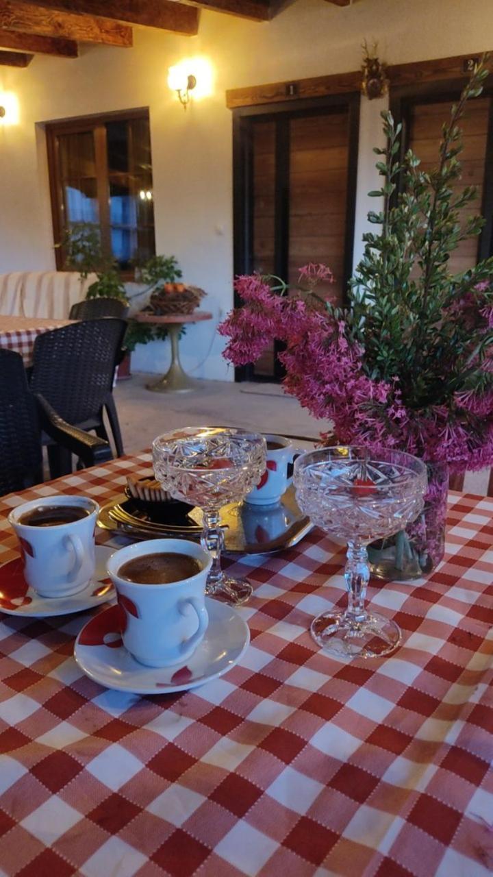 Guest House Stevovski Elshani Екстериор снимка