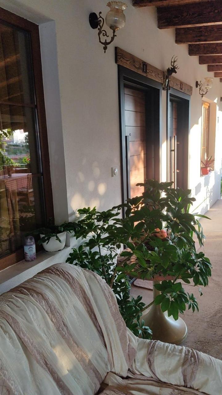 Guest House Stevovski Elshani Екстериор снимка